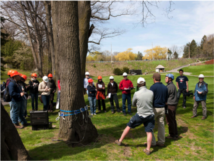 Urban Forestry Field Course