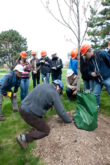 Urban Forestry Field Course