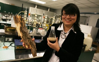 Turning tree waste into green glue – Dr. Ning Yan