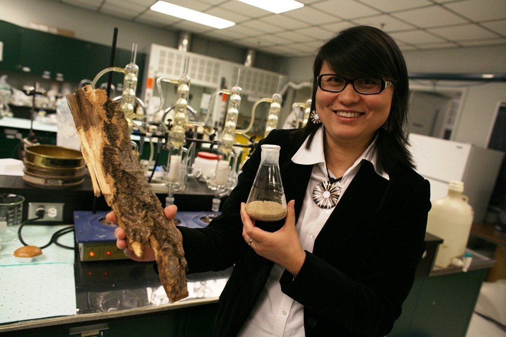 Turning tree waste into green glue – Dr. Ning Yan