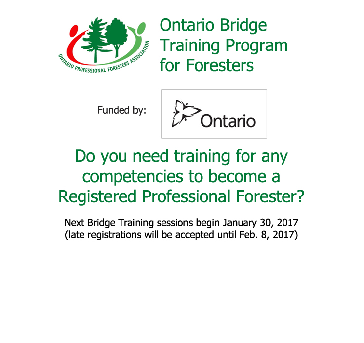 Ontario Bridge Training Program for Foresters