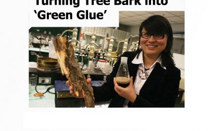 Barking up the Right Tree, featuring Prof. Ning Yan.