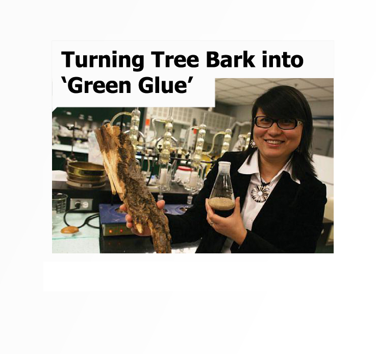 Barking up the Right Tree, featuring Prof. Ning Yan.