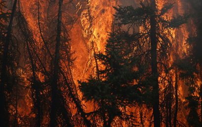 Wildfires will only get worse unless we learn how to live with them