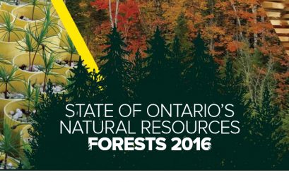 State of Ontario’s Natural Resources – Forests 2016