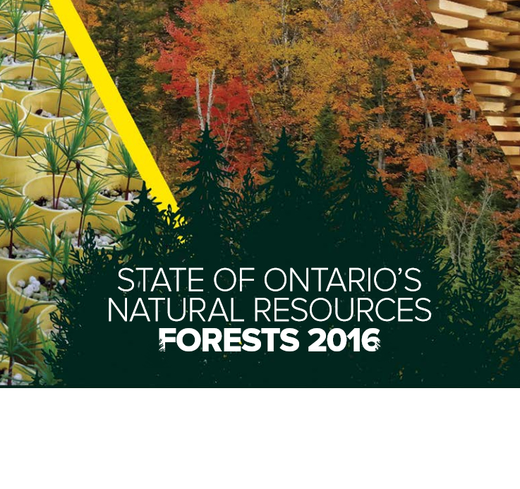 State of Ontario’s Natural Resources – Forests 2016