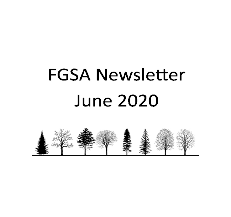 FGSA Newsletter June 2020