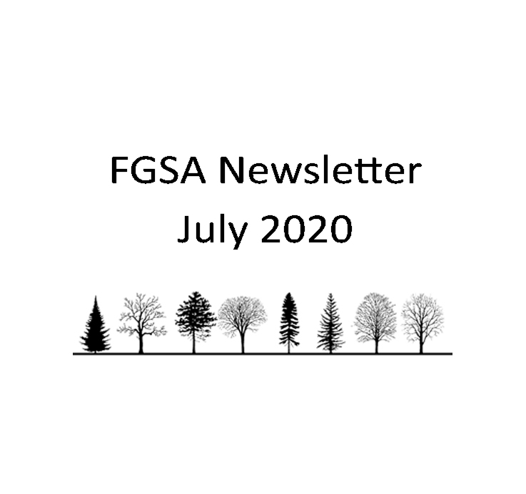 FGSA Newsletter July 2020