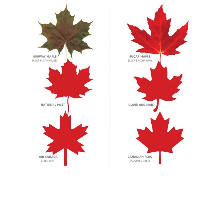The Globe and Mail: The Norway maple is a bully, and shouldn’t be confused with the sugar maple tree