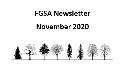 FGSA Newsletter November 2020