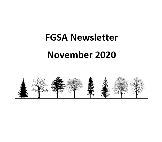 FGSA Newsletter November 2020