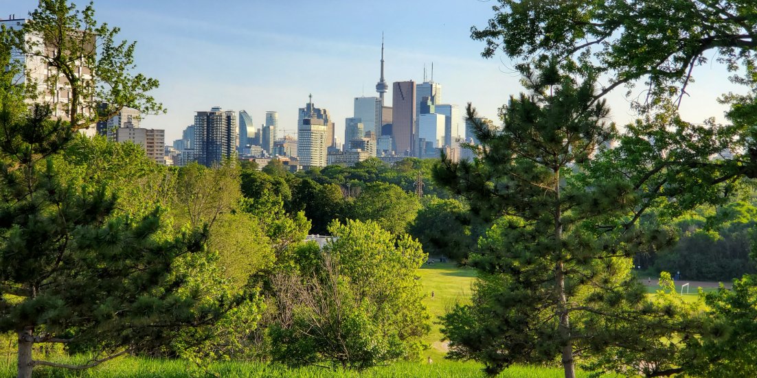 Danijela Puric-Mladenovic acts as Urban Forest Lead in first-of-its-kind study: “Natural Climate Solutions for Canada”
