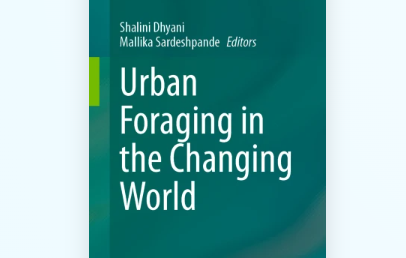Forestry alumni and current researchers contribute to Urban Foraging in the Changing World publication