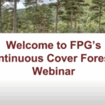 Continuous Cover Forestry webinar featuring Adjunct Professor Ted Wilson