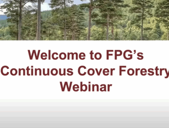 Continuous Cover Forestry webinar featuring Adjunct Professor Ted Wilson