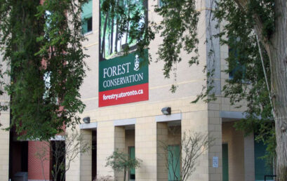 Forestry faculty, PhD student recognized by Canada’s Invasive Species Centre (ISC)