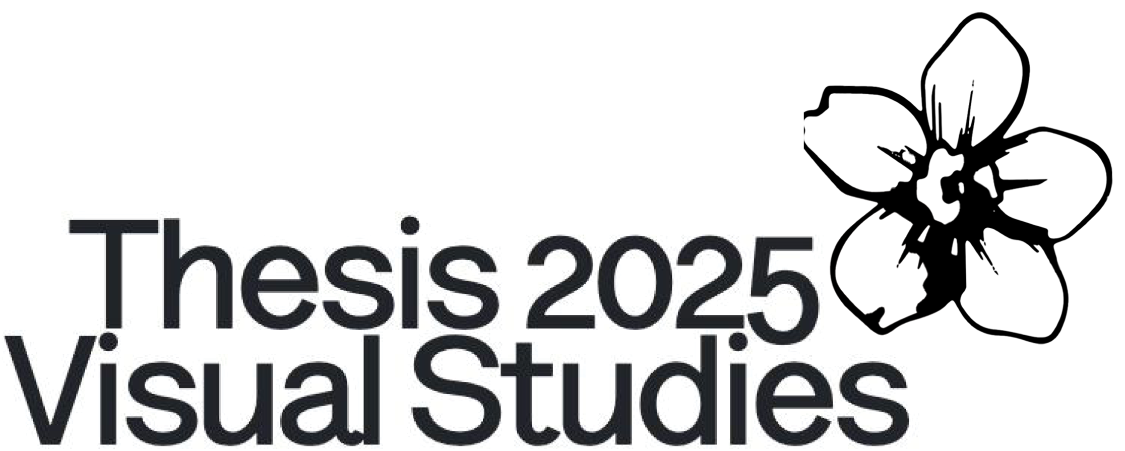 Visual Studies Thesis 2025 Logo